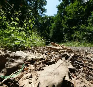 caterinaamato / caterina_amato nude photo #0047