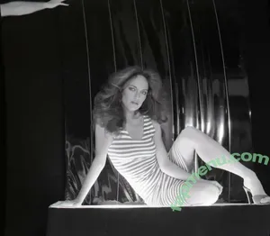 Catherine Bach / catherinebach nude photo #0008