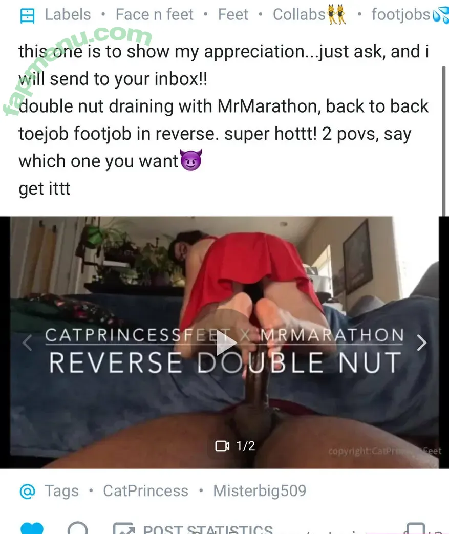 catprincessfeet2 nude photo #0024 (catprincessfeet2)