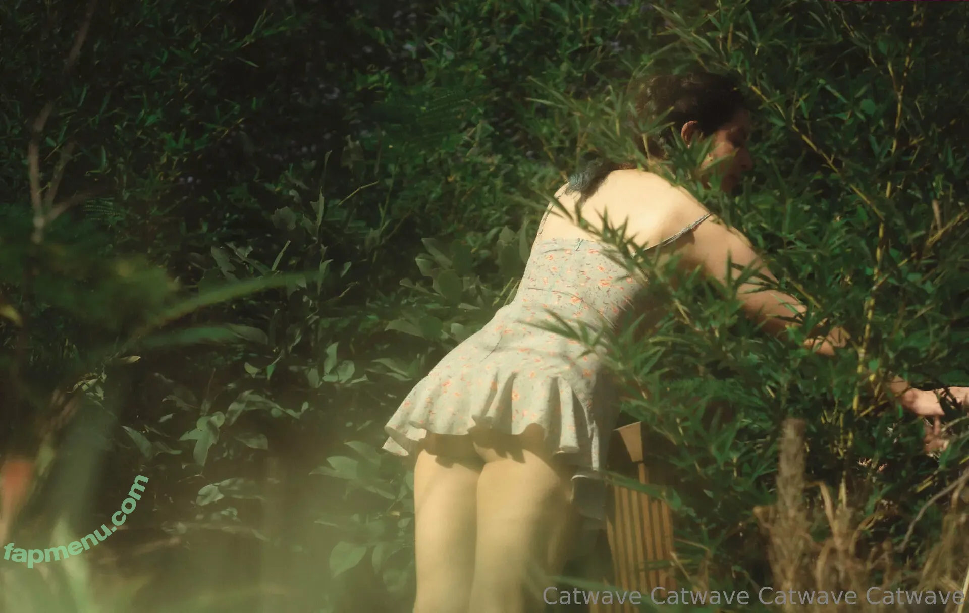 catwave nude photo #0026 (reel)