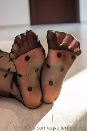 cavalierifeetfree / funwifelife nude photo #0015