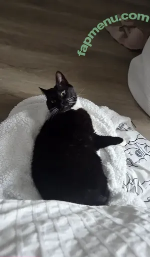 Celebi.cos / Celebi / CelebiCosplays / Celebi_cosplay / celebi_cos nude photo #0781