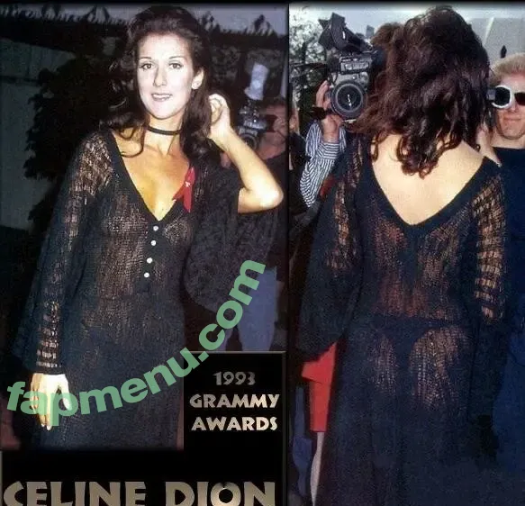 Céline Dion nude photo #0025 (celinedion)