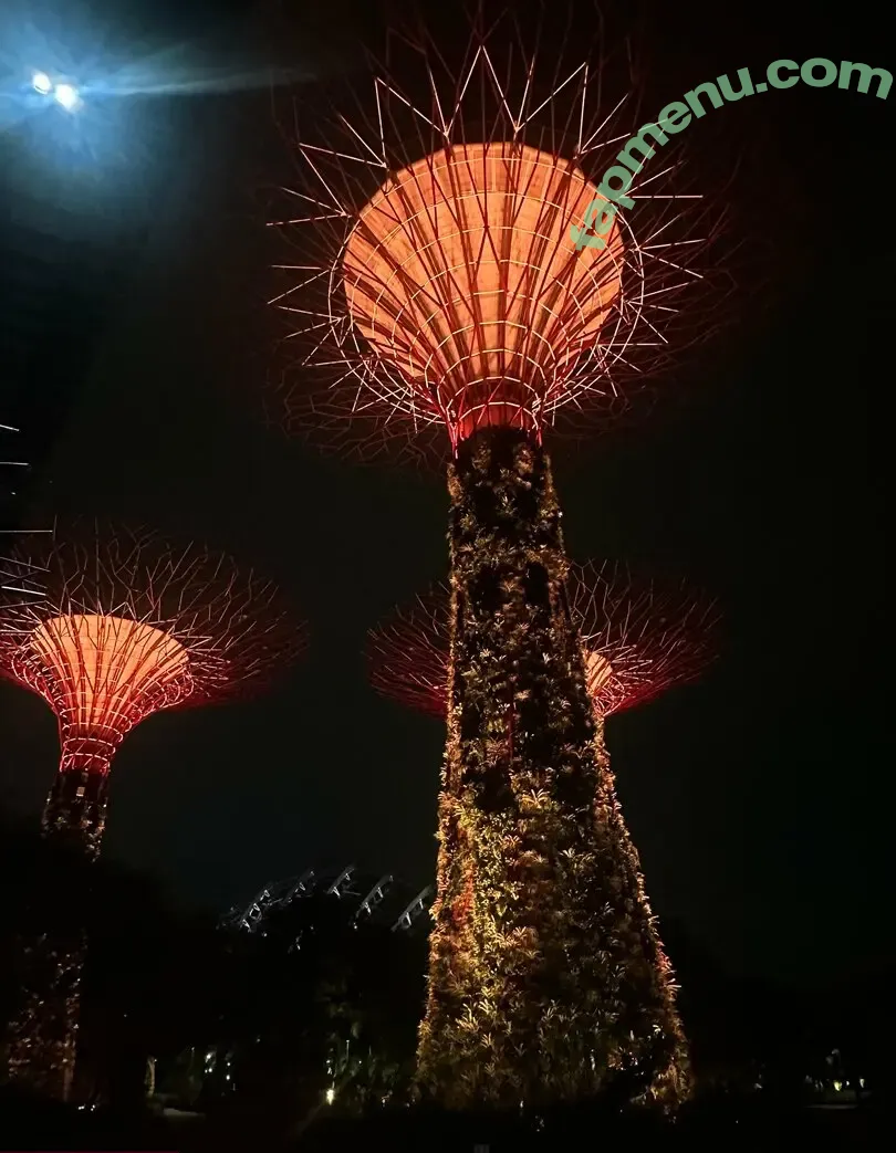 celtysinsmore nude photo #0087 (celeste__taylor)