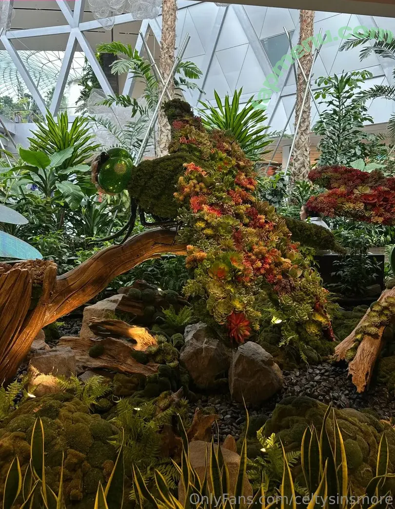 celtysinsmore nude photo #0097 (celeste__taylor)