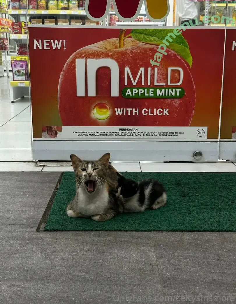 celtysinsmore nude photo #0100 (celeste__taylor)