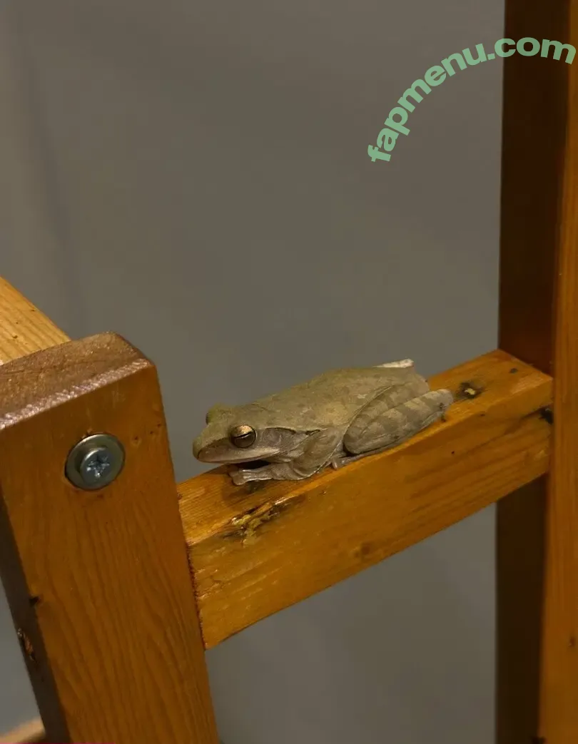 celtysinsmore nude photo #0101 (celeste__taylor)