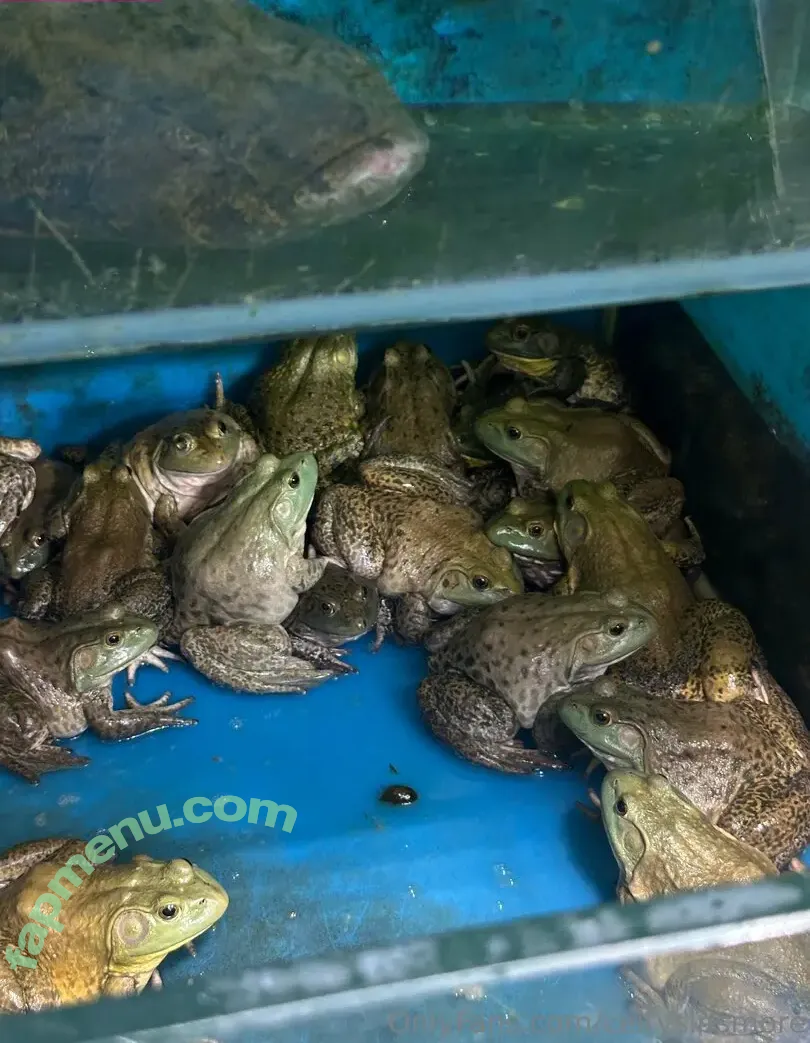 celtysinsmore nude photo #0102 (celeste__taylor)