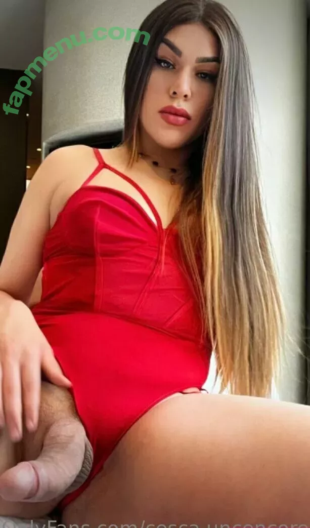 cesca.uncencored nude photo #0124 (cesccardillo / tgirljayd)