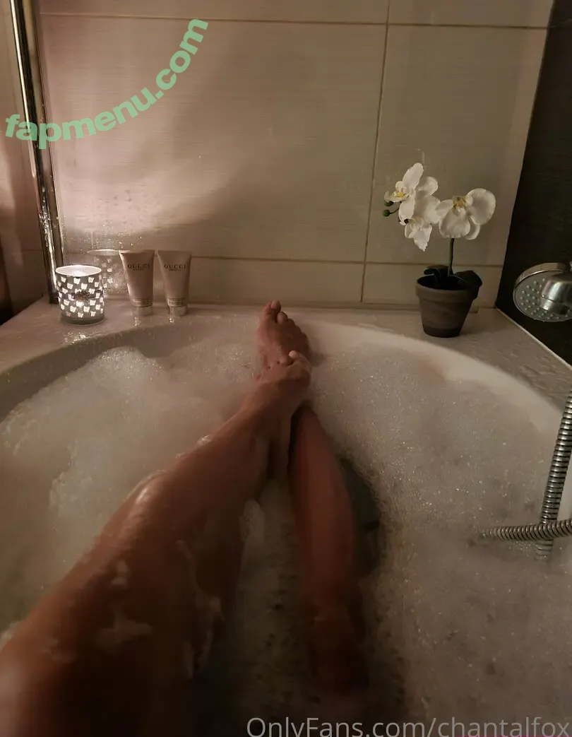 chantalfox nude photo #0013 (chantal_fox_psychologist)