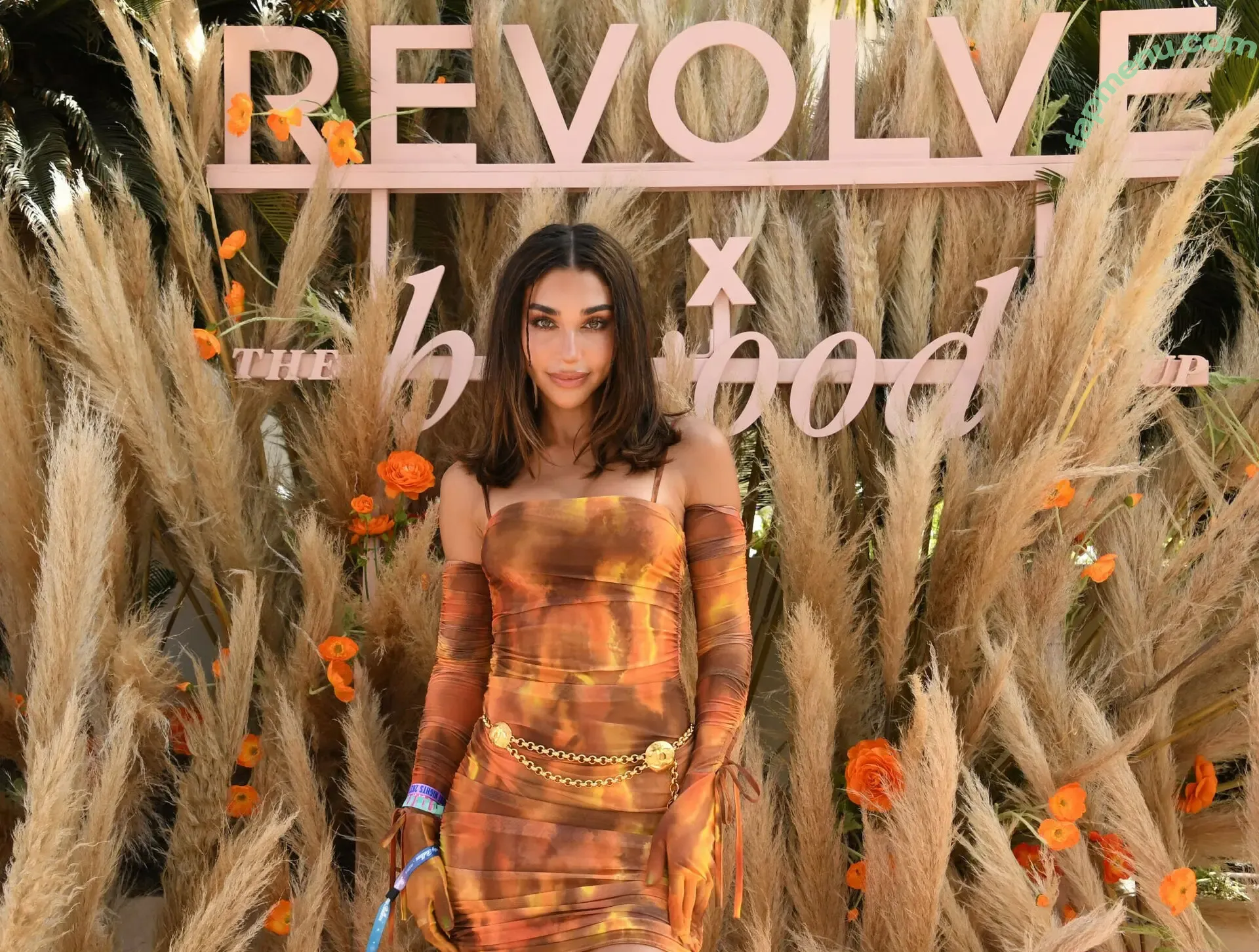 Chantel Jeffries nude photo #2782 (Ceejay the DJ / ChantelJeffries)