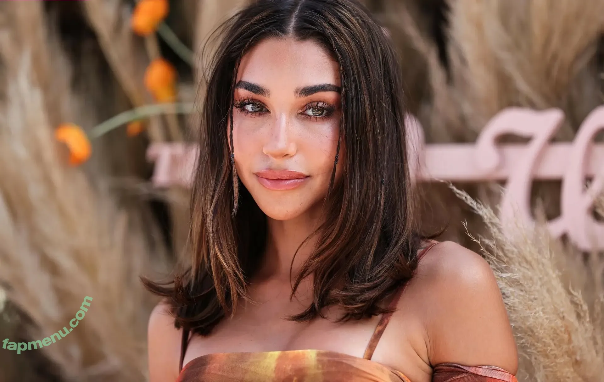 Chantel Jeffries nude photo #2808 (Ceejay the DJ / ChantelJeffries)