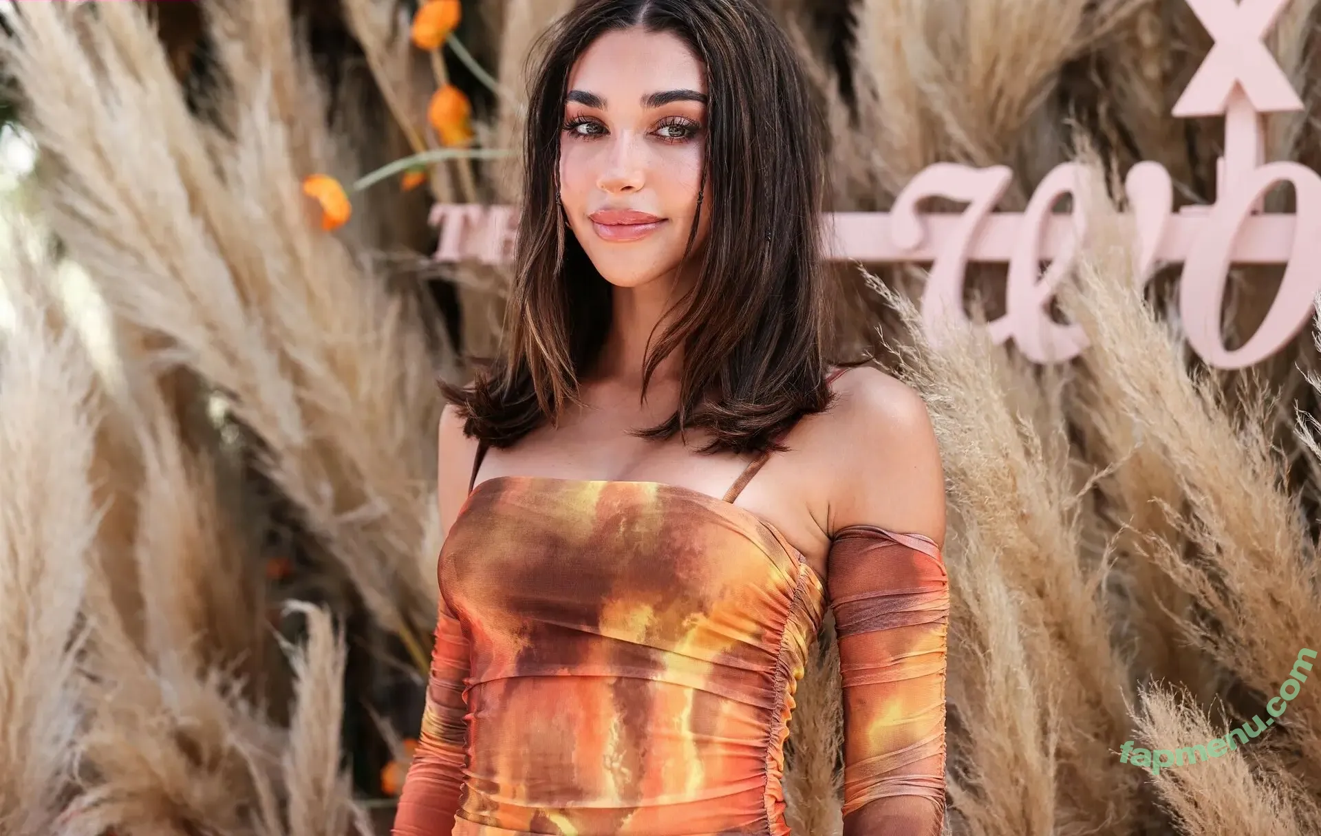 Chantel Jeffries nude photo #2810 (Ceejay the DJ / ChantelJeffries)