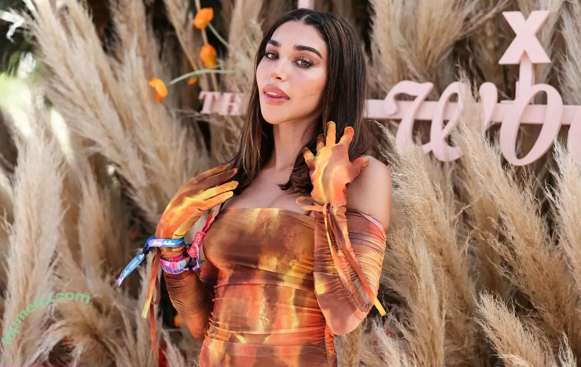 Chantel Jeffries nude photo #2812 (Ceejay the DJ / ChantelJeffries)