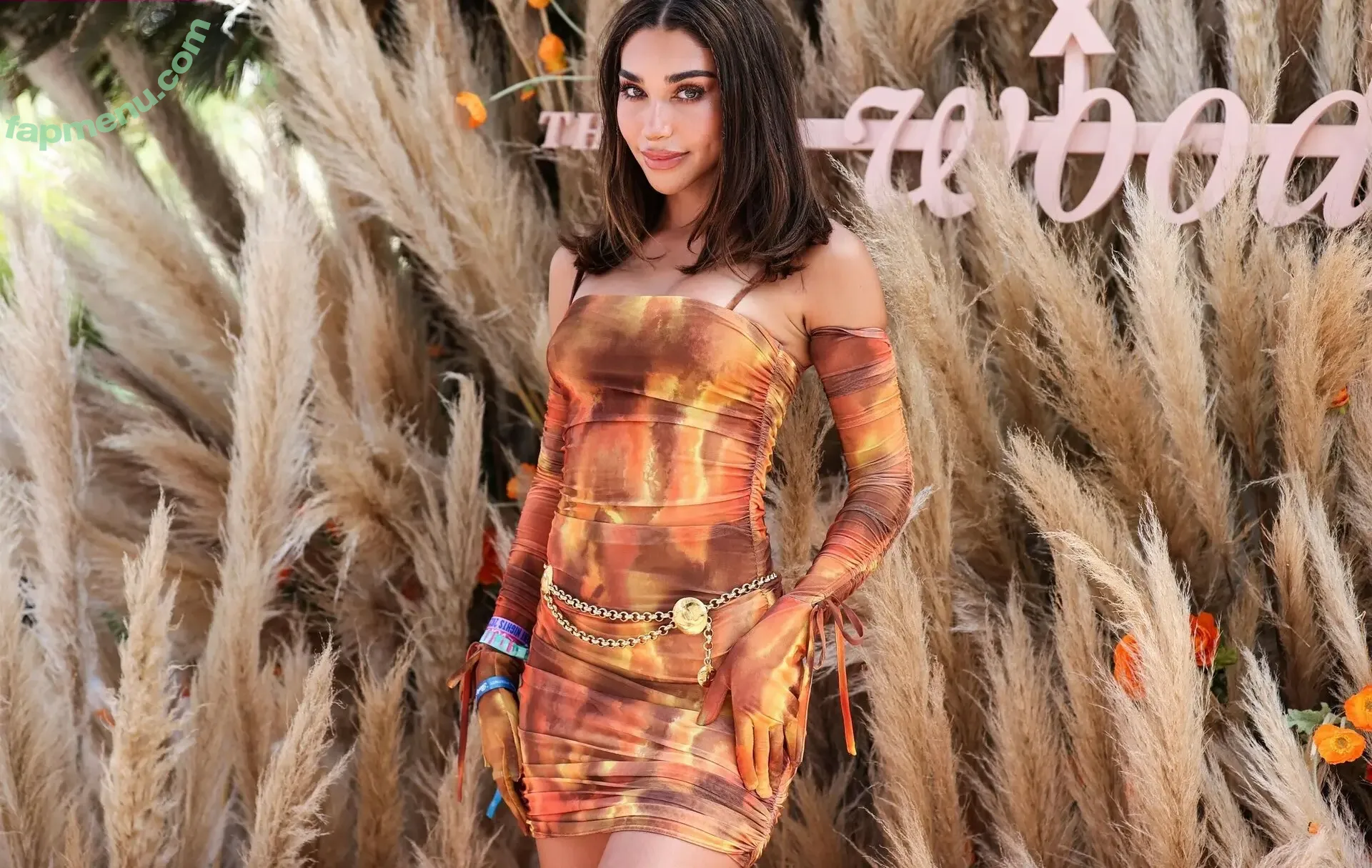 Chantel Jeffries nude photo #2815 (Ceejay the DJ / ChantelJeffries)