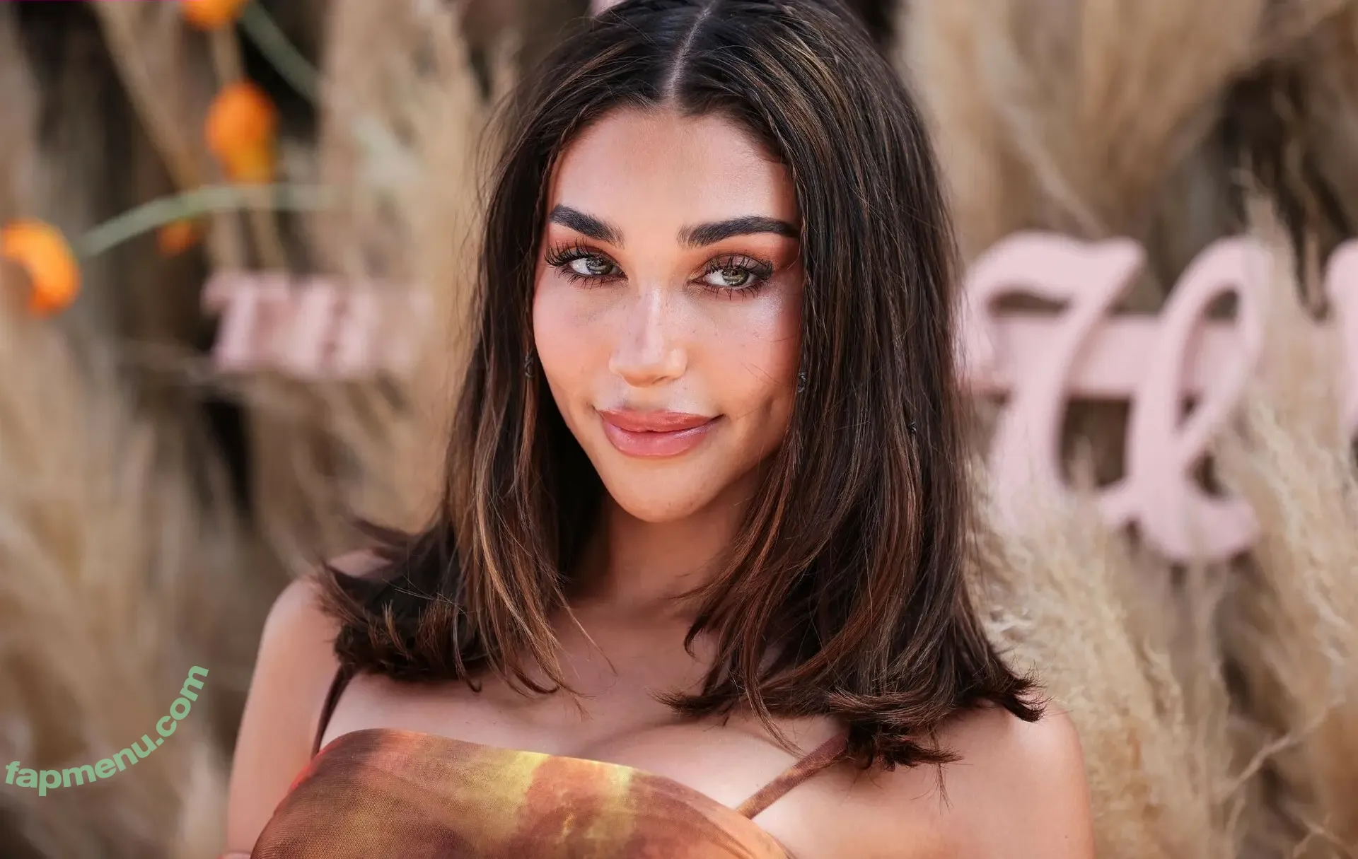 Chantel Jeffries nude photo #2818 (Ceejay the DJ / ChantelJeffries)