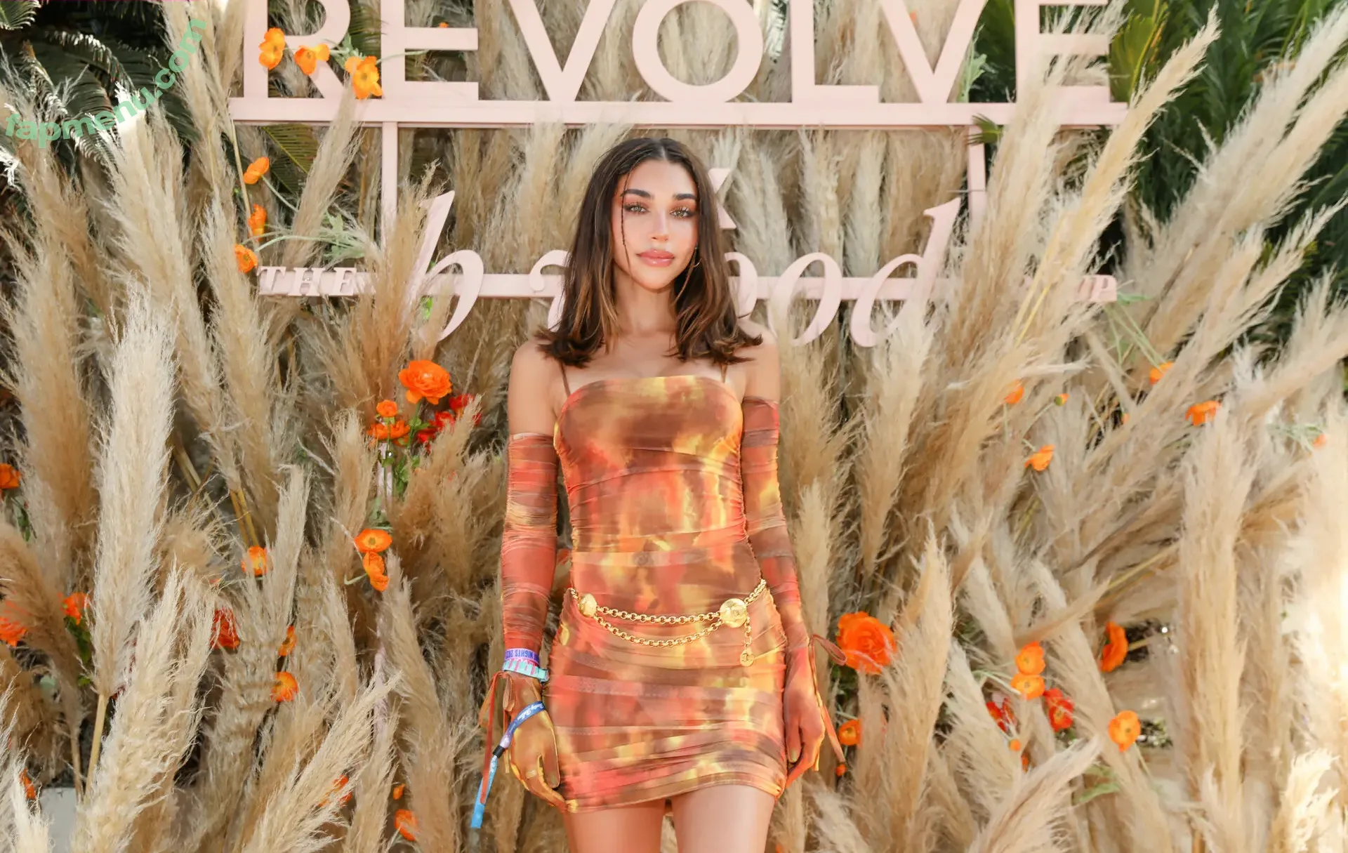 Chantel Jeffries nude photo #2820 (Ceejay the DJ / ChantelJeffries)