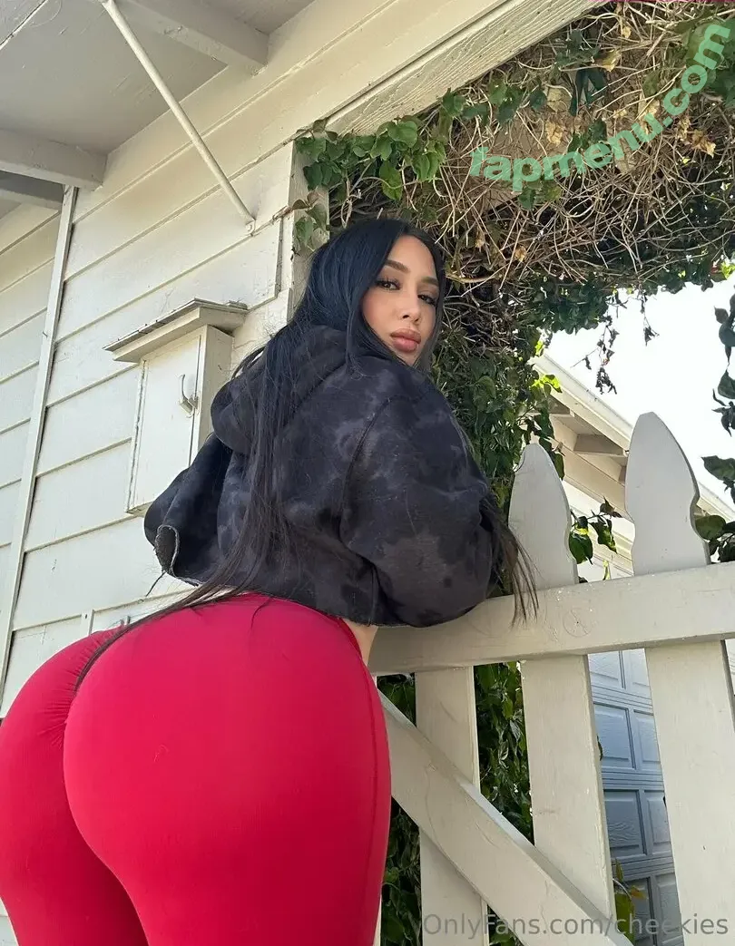 cheekies nude photo #0038 (cheekiesagain)