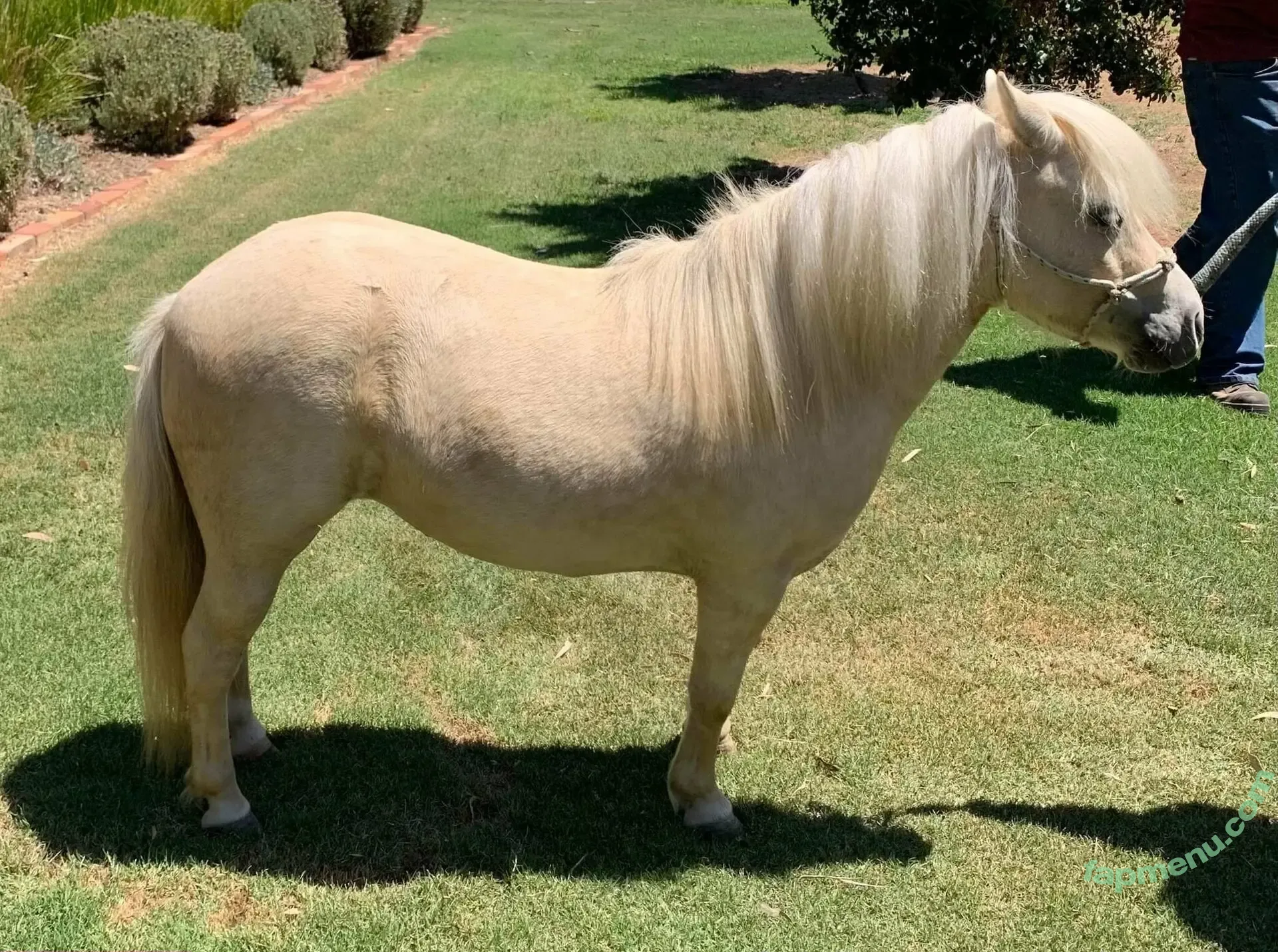 cheeky_auzzie nude photo #0024 (cheeky_yumsie)