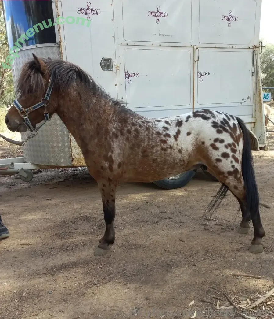 cheeky_auzzie nude photo #0025 (cheeky_yumsie)