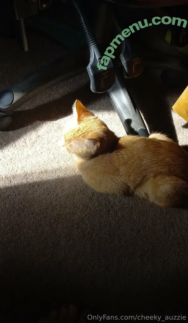 cheeky_auzzie nude photo #0036 (cheeky_yumsie)