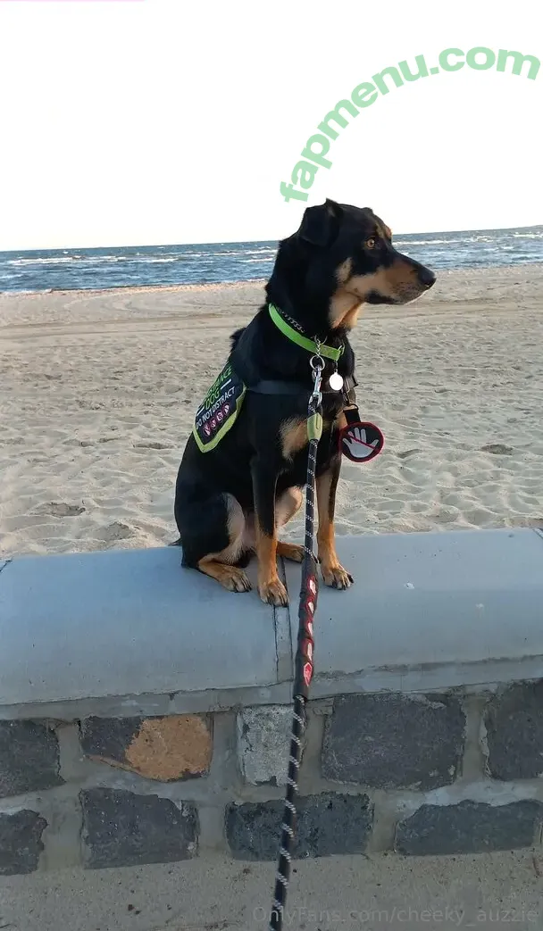 cheeky_auzzie nude photo #0050 (cheeky_yumsie)