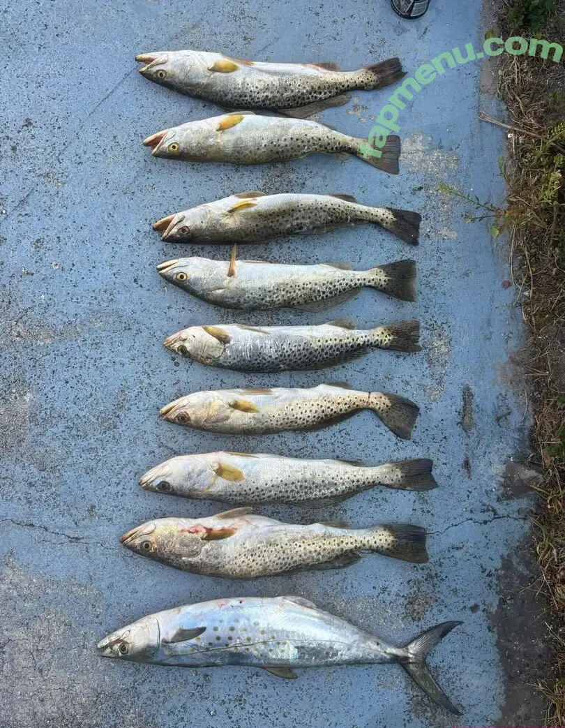 cheekycharms69 nude photo #0006 (cheekycharms69)