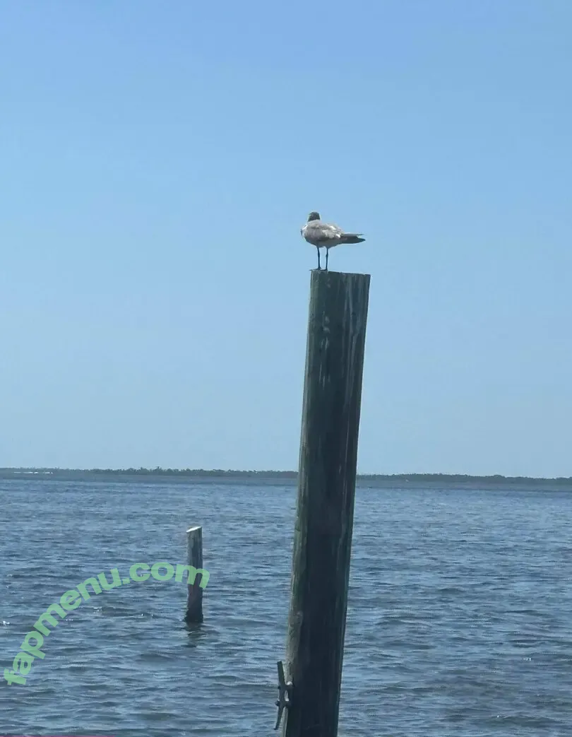 cheekycharms69 nude photo #0007 (cheekycharms69)