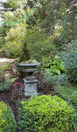 cheekytransgirl / reel nude photo #0055