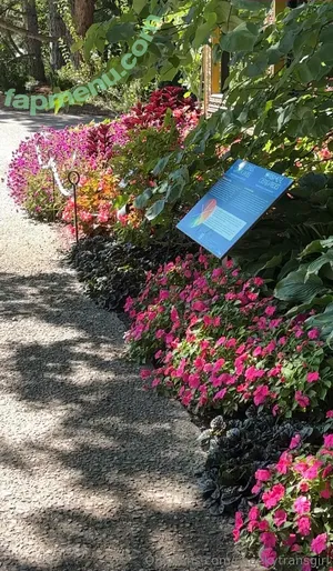 cheekytransgirl / reel nude photo #0057