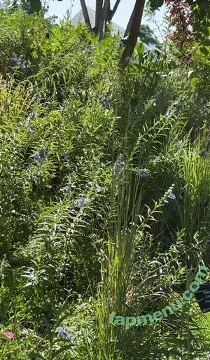 cheekytransgirl / reel nude photo #0059