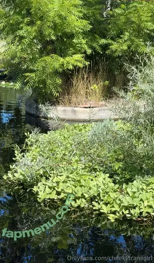 cheekytransgirl / reel nude photo #0064