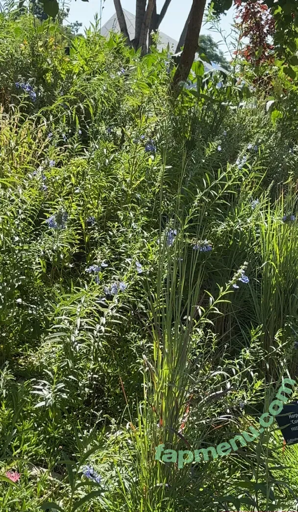 cheekytransgirl nude photo #0059 (reel)