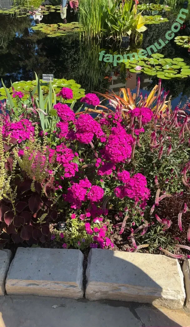 cheekytransgirl nude photo #0062 (reel)