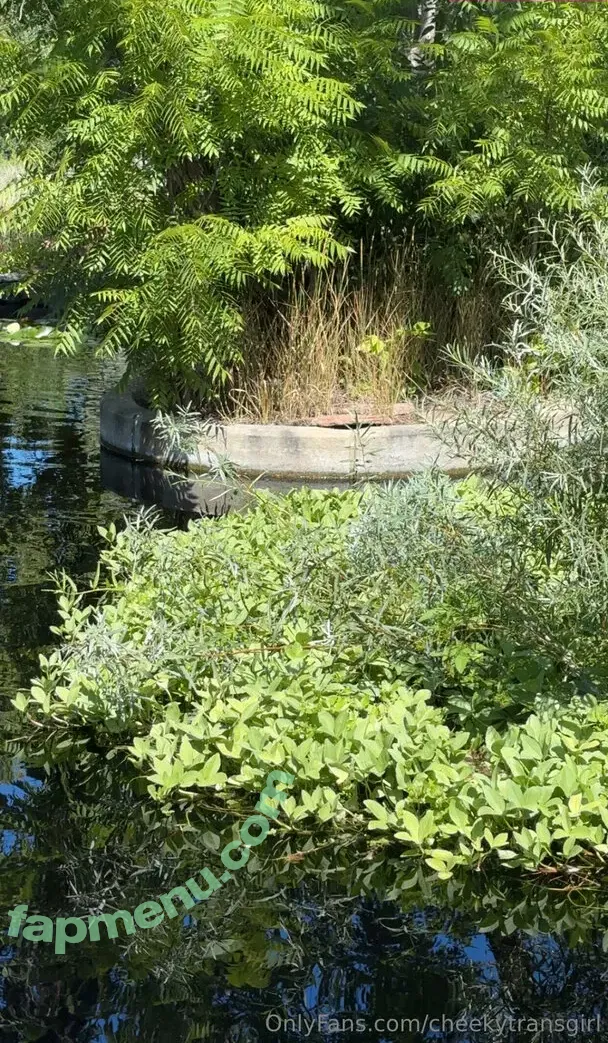 cheekytransgirl nude photo #0064 (reel)