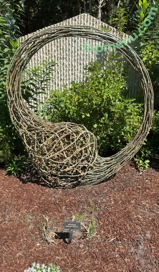 cheekytransgirl nude photo #0066 (reel)