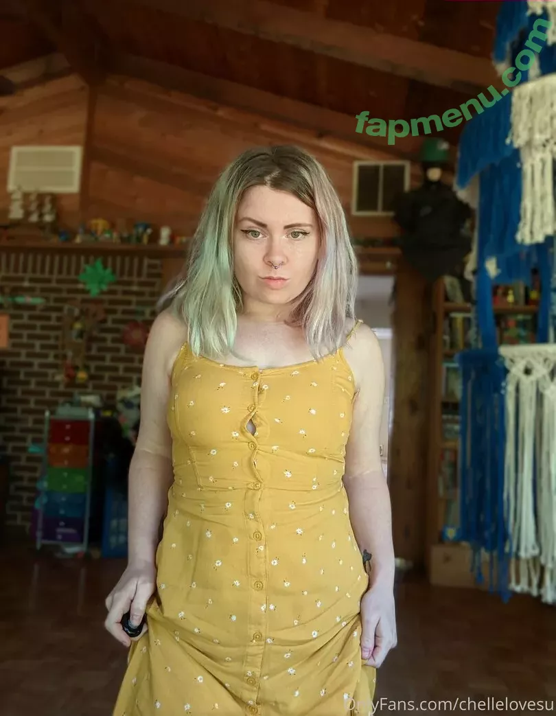 chellelovesu nude photo #0046 (chellesilverstein)