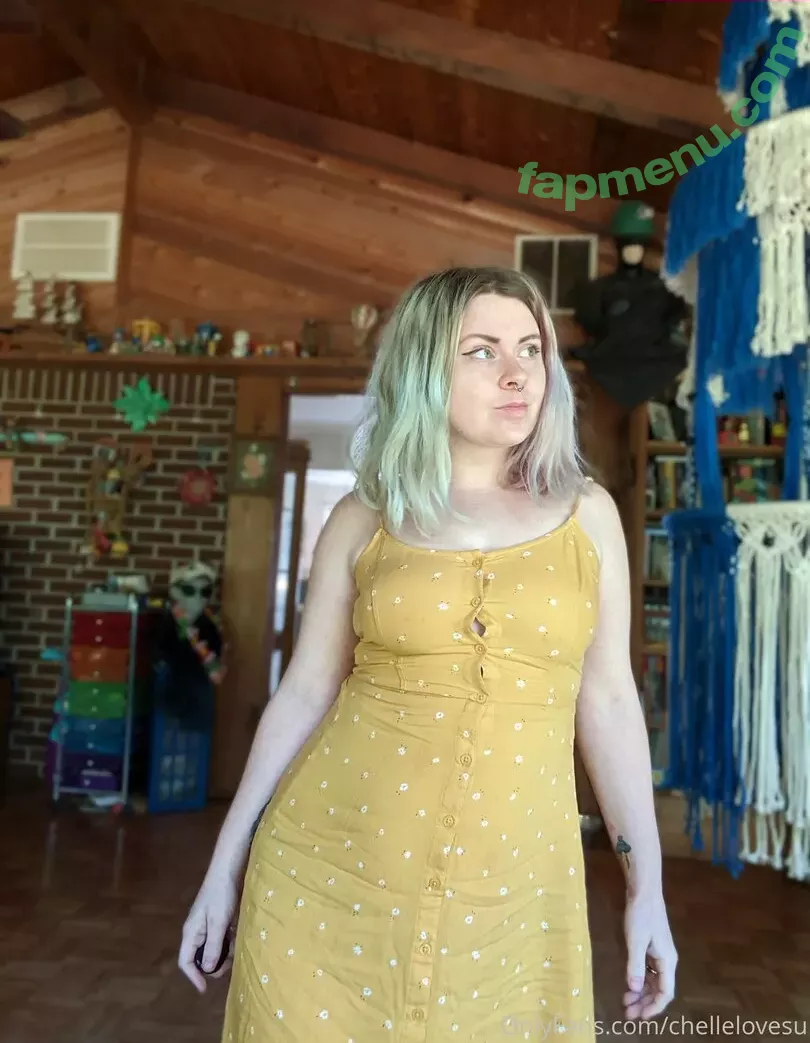 chellelovesu nude photo #0048 (chellesilverstein)