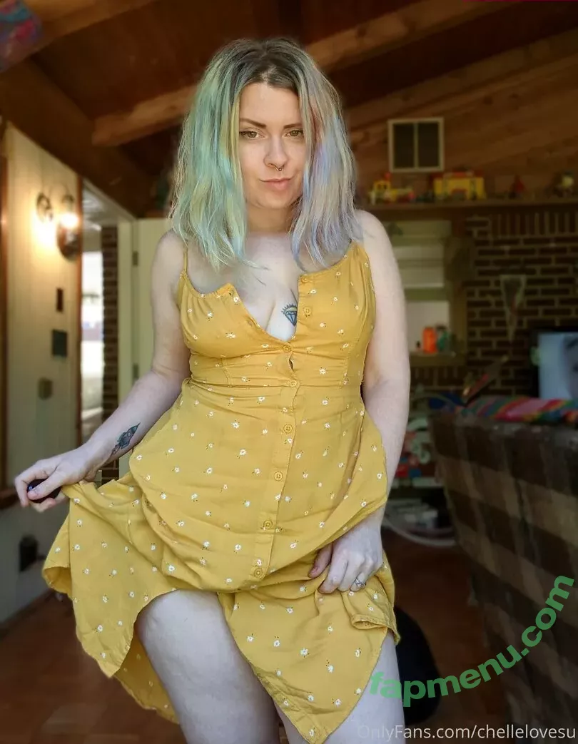 chellelovesu nude photo #0057 (chellesilverstein)