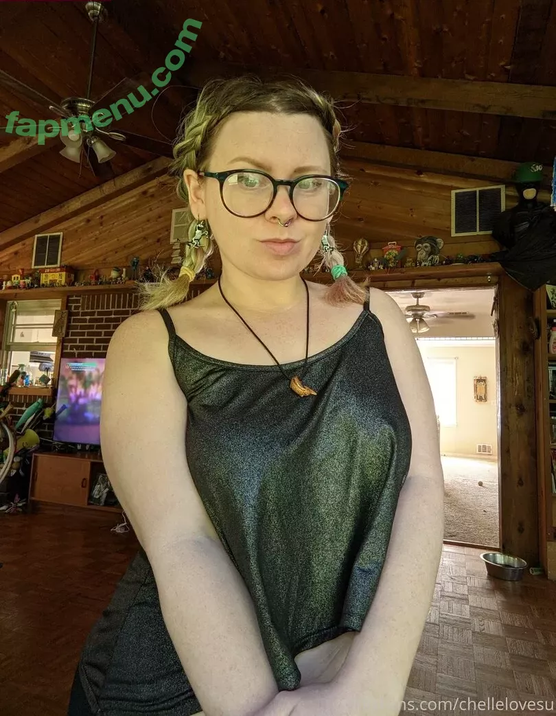 chellelovesu nude photo #0171 (chellesilverstein)