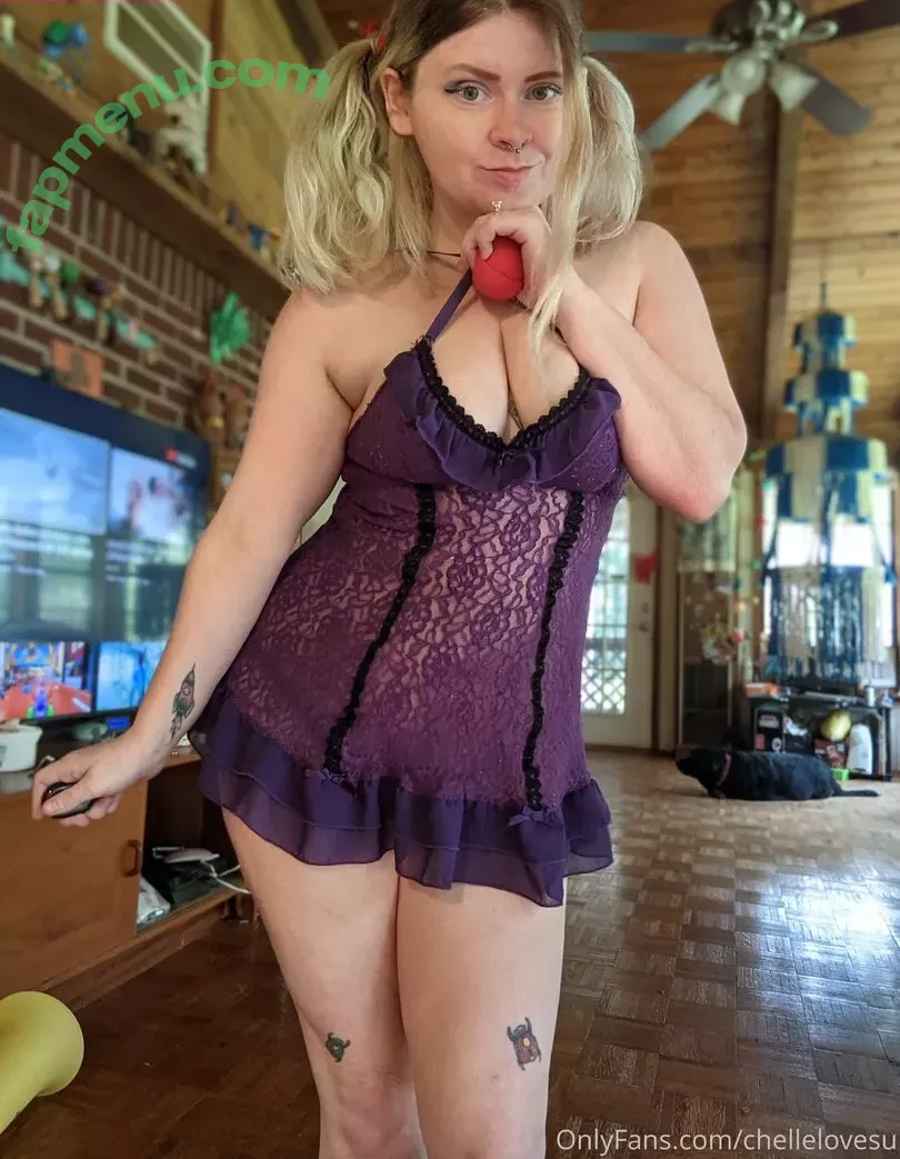 chellelovesu nude photo #0583 (chellesilverstein)