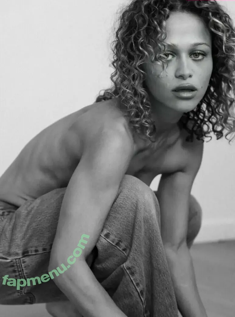 Chelsea Kaplan nude photo #0019 (bustakaplan / chelseakaplan)