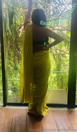 chennaitamilgirl-vip / telgu_tamil_vc nude photo #0003