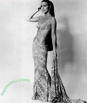 Cher nude photo #0057