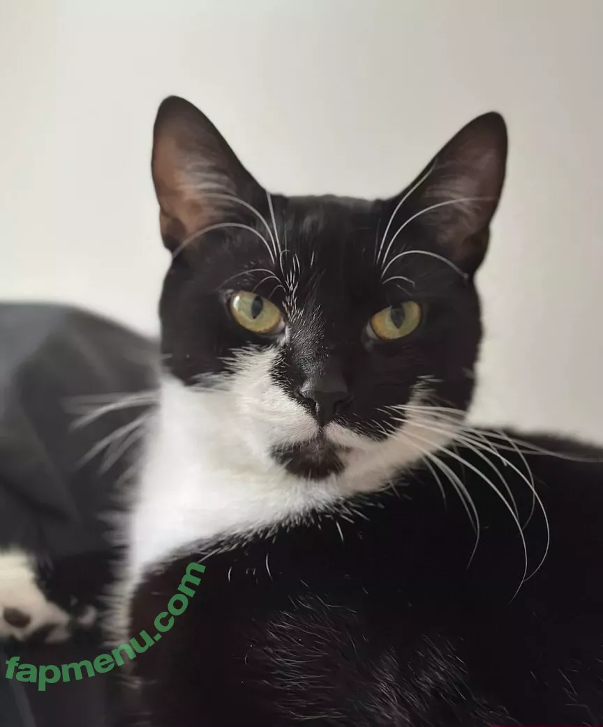 Cherrylovebombb nude photo #0436 (cherrylovebombx)