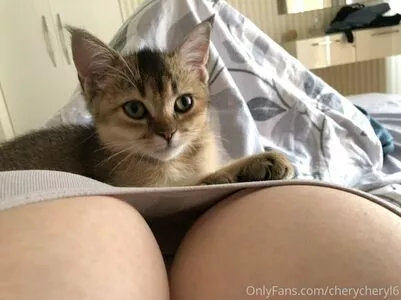 Cheryl Pride / CheryCheryl6 / cheryl_pride / cherylpride nude photo #0046