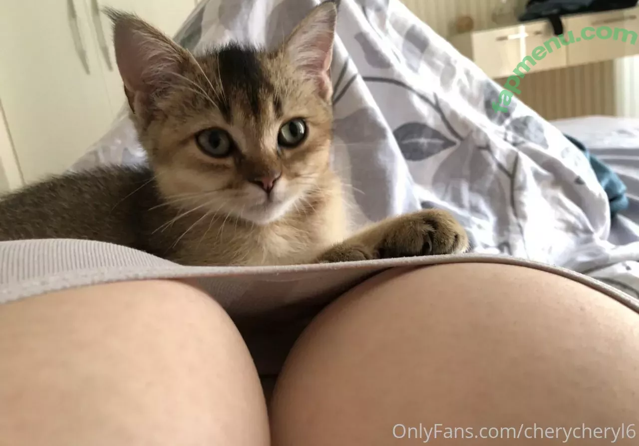 Cheryl Pride nude photo #0046 (CheryCheryl6 / cheryl_pride / cherylpride)