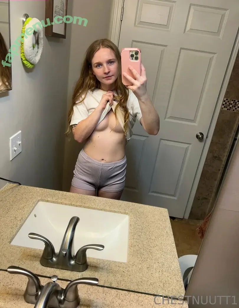 Chestnuutt1 nude photo #0062 (Slutnuutt / chestnuutt)
