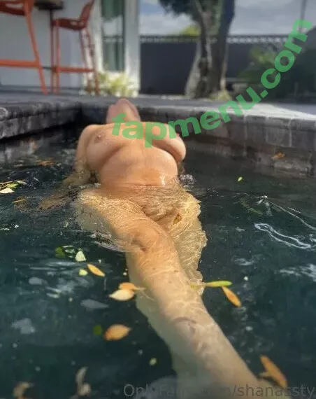 Chivelicious nude photo #0095 (martyloveswine)