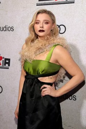 Chloë Grace Moretz / chloegmoretz nude photo #0687